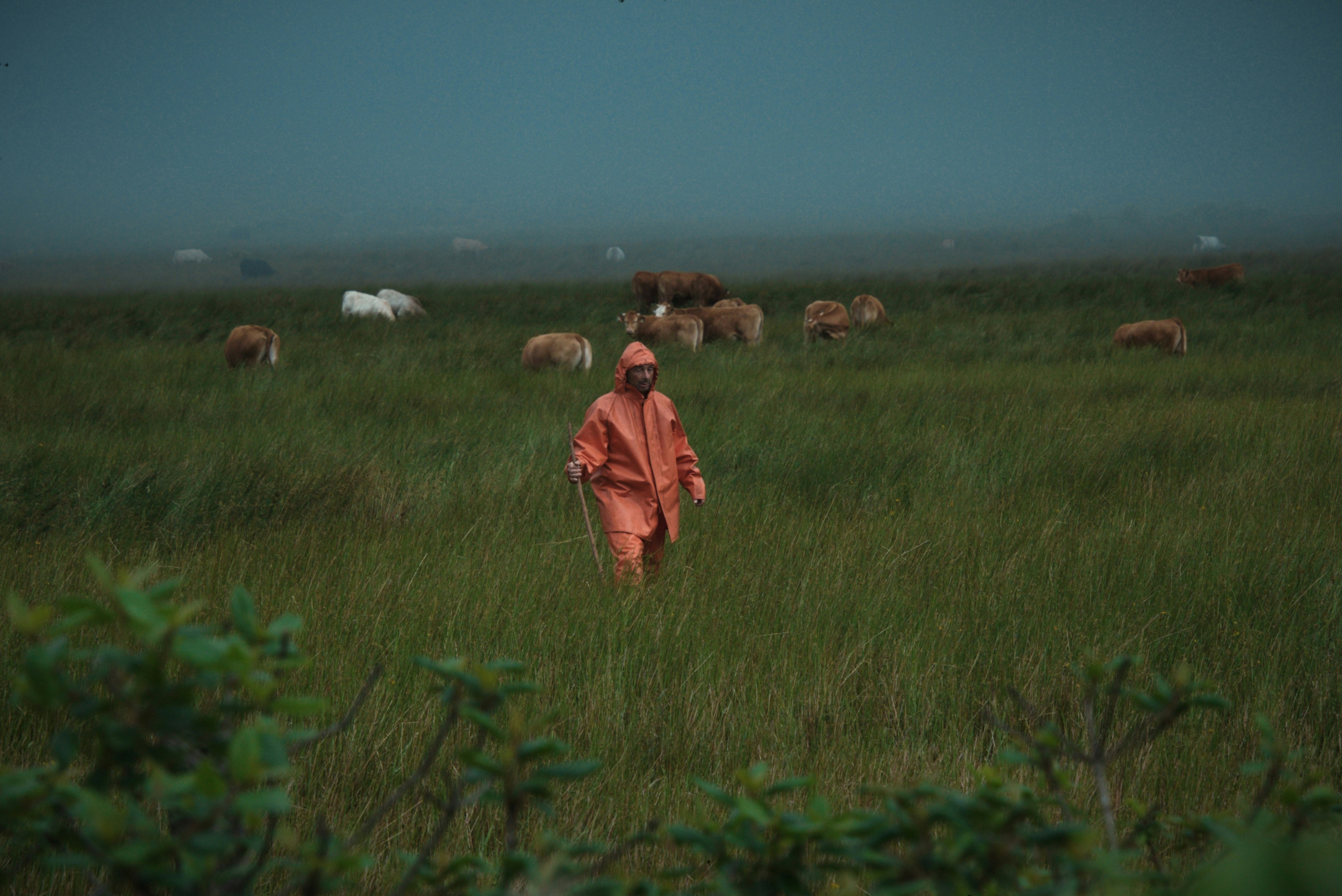 man in brown jacket standing on green grass field during daytime